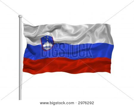 Slovénie drapeau 2