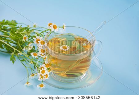 Glass Of Healthy Herbal Camomille Tea. Naturopathy. Matricaria Chamomilla.