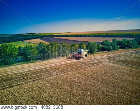 Aerial View On Combine Harvester Gathers The Wheat At Sunset. Harvesting Grain Field, Crop Season. V