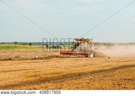 Rotary Straw Walker Cut And Threshes Ripe Wheat Grain. Combine Harvesters With Grain Header, Wide Ch