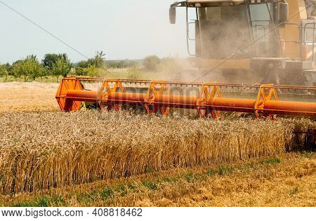 Rotary Straw Walker Combine Harvester Cuts And Threshes Ripe Wheat Grain. Platform Grain Header With