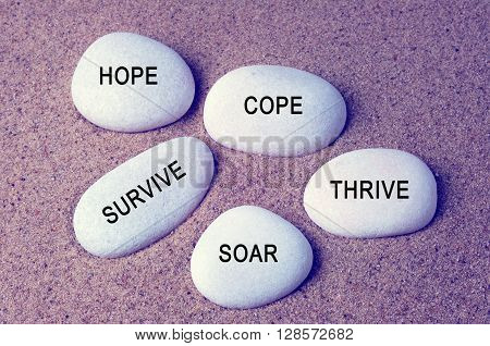 Inspirational words - hope cope survive thrive and soar text on a zen stones vintage background