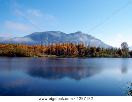 Mtn Reflection In Pond