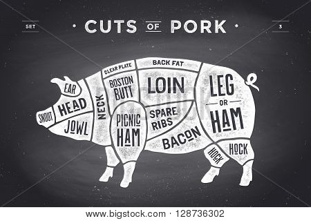 Cut of meat set. Poster Butcher diagram, scheme and guide - Pork. Vintage typographic hand-drawn on a black chalkboard background. Vector illustration