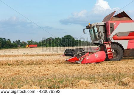 Wheat Harvesting On Field In Summer Season. Combine Harvester Harvests Ripe Wheat. Agriculture. Proc