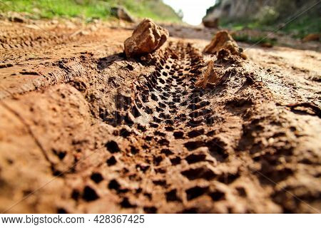 Bike Tire Tracks On Muddy Trail Royalty. Tire Tracks On Wet Muddy Road, Abstract Background, Texture