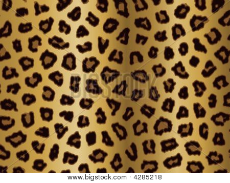 Leopard Print