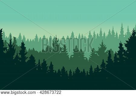 Pine Forest Landscape. Evergreen Spruce Tree Park View, Coniferous Forest Landscape Vector Backgroun