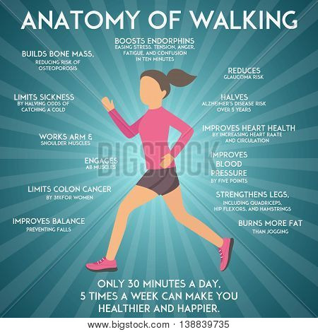 Walking effects infographic vector illustration. Fitness and sport concept. Health benefits of walking and running.