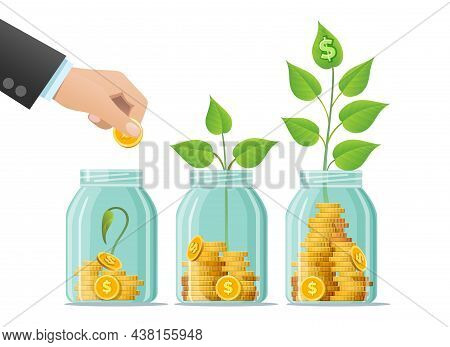 Investing Bottle. Money Growing Concept, Finance Savings Tree, Finances Investment, Invested Coins P