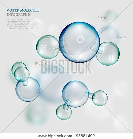 Water molecule