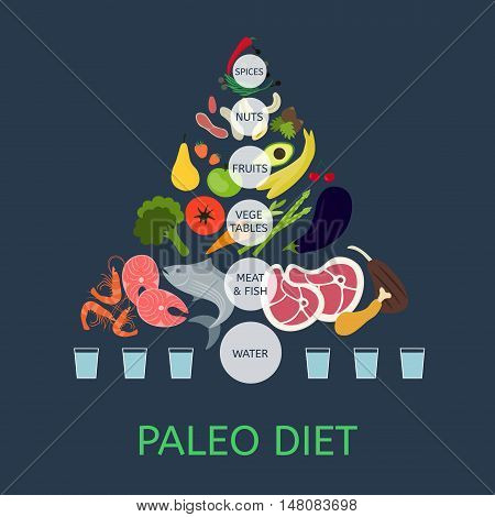 Paleolithic Diet Pyramid. Infographic about healthy food.