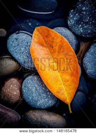 Autumn Season And Peaceful Concepts. Orange Leaves Falling On River Stone . Abstract Background Of A