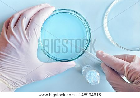 Chemical Research In Petri Dishes. Chemistry. Microbiology.