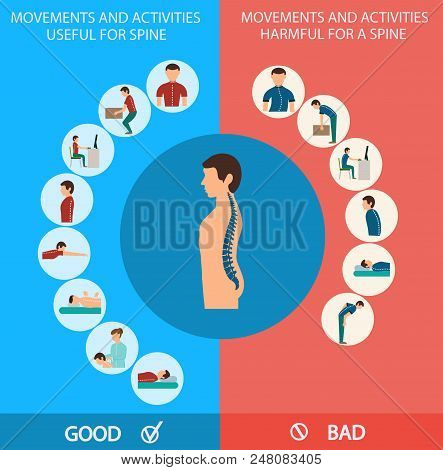 Spine Infographic. Movements And Activities For Spine, Good And Bad. Correct And Incorrect Position 