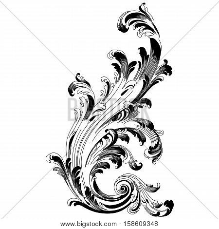 Vintage ornament, baroque ornament, scroll ornament, engraving ornament, border ornament, floral ornament, retro pattern, antique pattern, style acanthus pattern, foliage pattern, swirl pattern decorative pattern, filigree pattern. vector