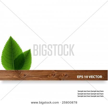 Green leaves with wood