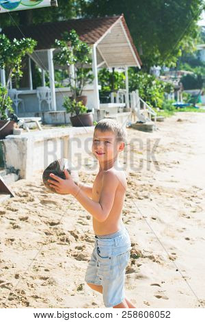 Caucasian Boy Has Collected Coconuts On Beach Natural Product Food Of Thailand Brown Coconut Or Coco