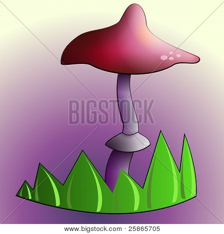 Toadstool