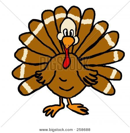 Jive Turkey