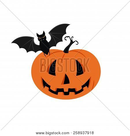 Halloween Pumpkin Vector Background. Illustration Of Halloween Pumpkin With Bats In White Background