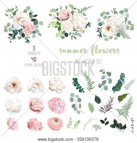 Blush Pink Rose And Sage Greenery, Ivory Peony, Hydrangea, Ranunculus Flowers, Eucalyptus Big Vector