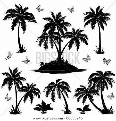 Tropical island, palms and butterflies silhouettes