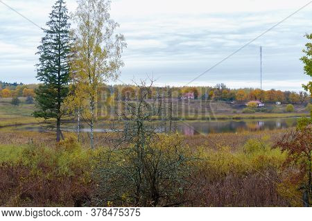 Roadside Trees, Trees On The Edges Of The Highway, Road In Autumn