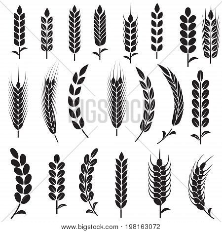 Wheat Ears Icons and Logo Set. For Identity Style of Natural Product Company and Farm Company. Organic wheat bread agriculture and natural eat. Contour lines. Flat design.