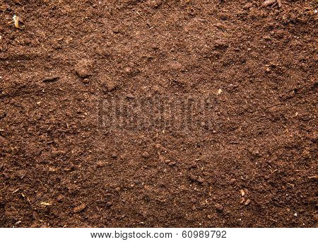 Soil background