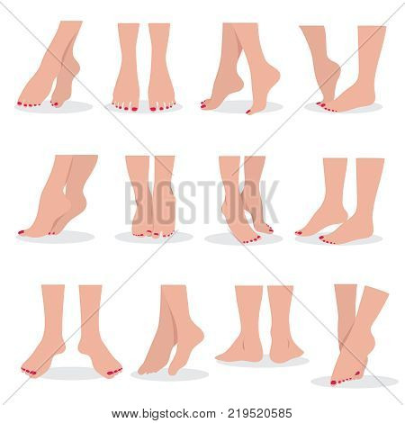 Beautiful bare woman feet and legs isolated. Female body parts attractive beauty vector set. Female foot bare, beauty woman leg illustration