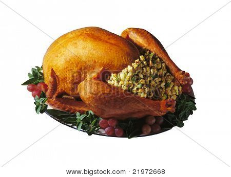 Baked Holiday Turkey on platter with garnish isolated over white