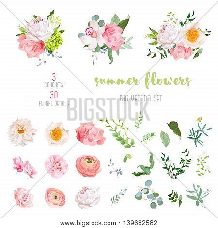 Ranunculus rose peony dahlia camellia carnation orchid hydrangea flowers and decorative plants big vector collection. All elements are isolated and editable.