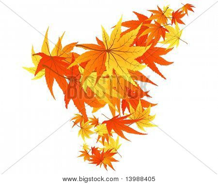 Gedraaide rij van herfst maples verlaat. Vectorillustratie.