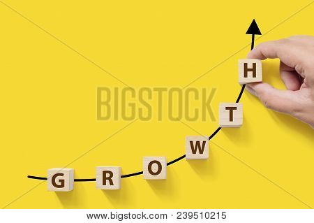 Business Success Growing Growth Increase Up Concept. Wooded Cube Block On White Background With Word