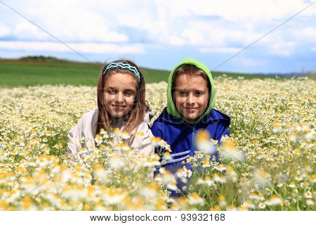 Girl And Boy In Camomille Field