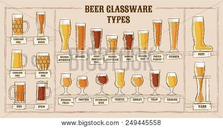 Beer Types. A Visual Guide To Types Of Beer. Various Types Of Beer In Recommended Glasses. Vector Il