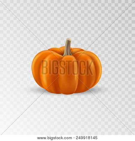 Pumpkin Realistic Icon. Orange Pumpkin Isolated. Vector Illustration