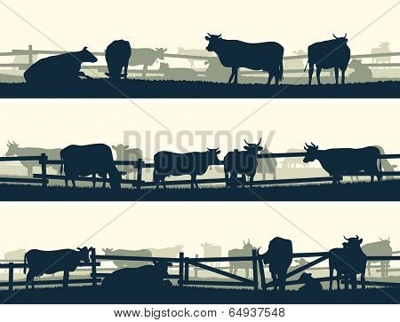 Horizontal Vector Banner Farm Fields With Fence And Farm Animals.