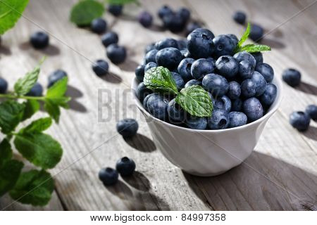 Blueberry antioxidant organic superfood in a bowl concept for healthy eating and nutrition