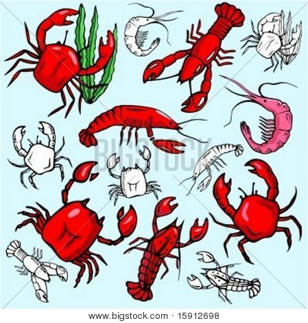 A set of 7 crab, lobster and shrimp vector illustrations in color, and black and white renderings.