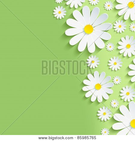 Spring Green Nature Background With White Chamomiles