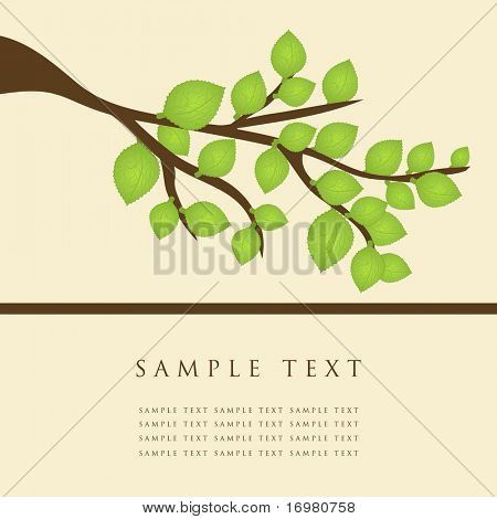 Tree branch. Vector illustration.