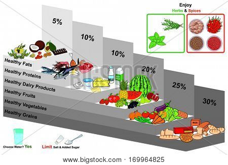 Vector Healthy Food Pyramid infographic chart nutrition balance and with all groups grains vegetables fruits dairy milk products proteins fats water herbs spices diagram  education diet and vegetarian