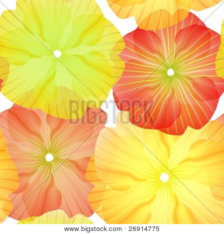 seamless Primula Flowers