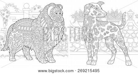 Coloring Pages. Coloring Book For Adults. Colouring Pictures With Rough Collie And Dalmatian Dogs. A