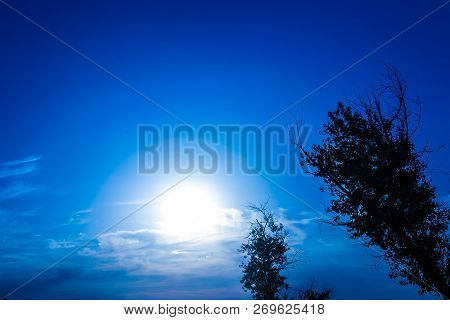 Beautiful Glow Of The Rising Moon Against The Trees.