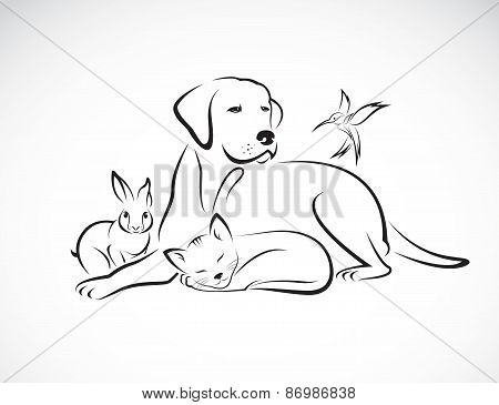 Vector Group Of Pets - Dog, Cat, Bird, Rabbit, Isolated On White Background