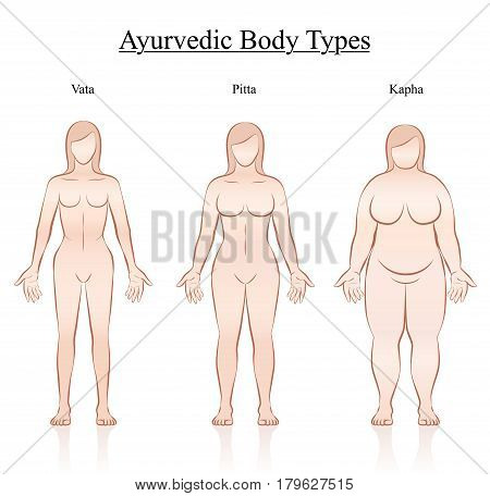 Body constitution types - ayurvedic typology - vata, pitta, kapha. Isolated outline vector illustration of female body - frontal view - different anatomy.