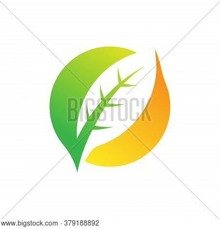 Leaf. Leaf Logo. Leaf vector. Leaf Logo vector. Leaves Logo. Leaf vector Logo. Vector Leaf Logo. Nature Leaf Logo. Leaf Logo design. Leaf Logo icon vector. Eco Leaf Logo. Leaf Sign. Leaf Symbol. Leaf Logo vector design template illustration.